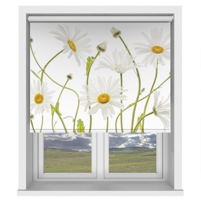 Ox eye Daisies Printed Picture Photo Roller Blind - 1X1144981 - Art Fever - Art Fever