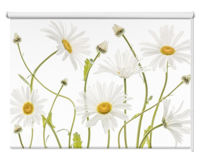 Ox eye Daisies Printed Picture Photo Roller Blind - 1X1144981 - Art Fever - Art Fever
