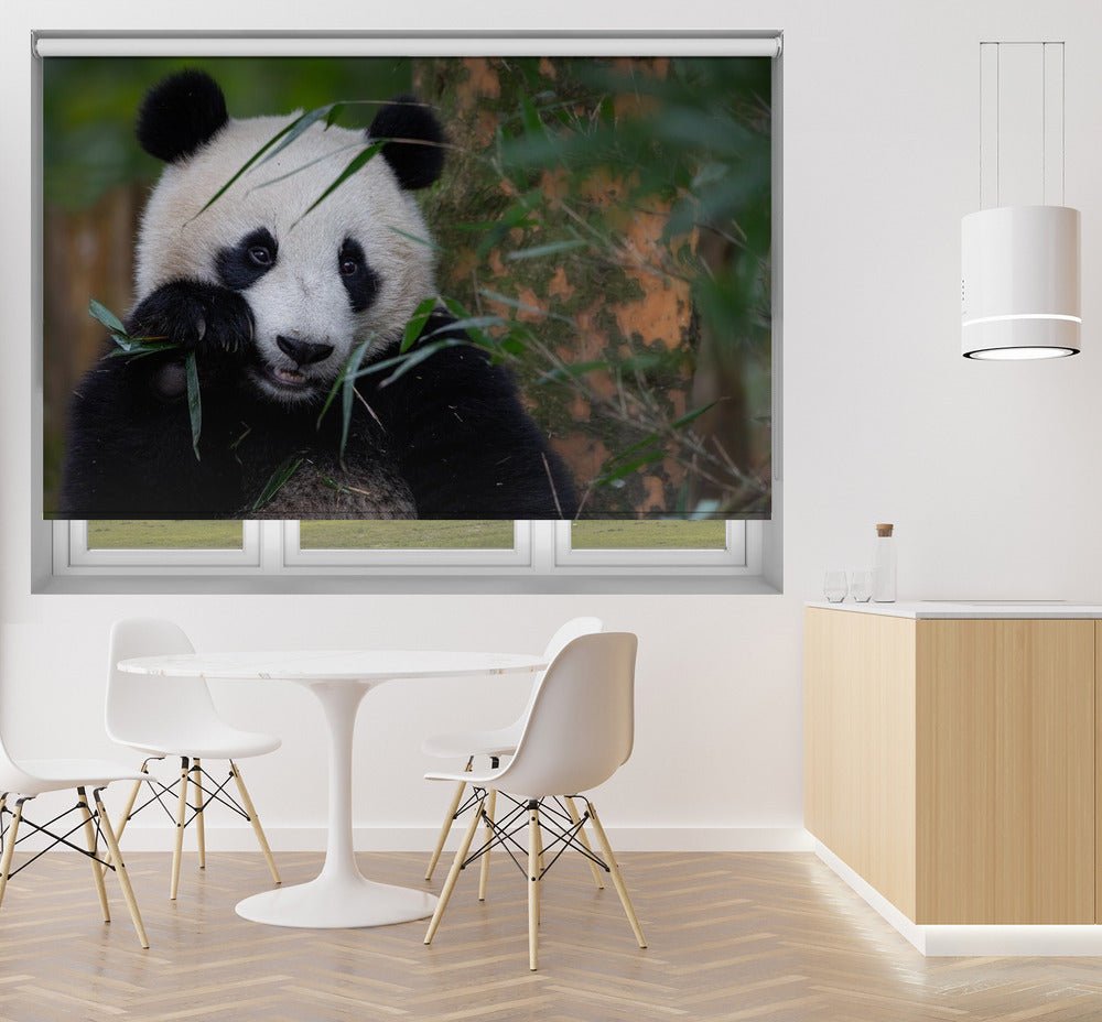 Panda Bamboo Time Printed Picture Photo Roller Blind - 1X1694946 - Art Fever - Art Fever
