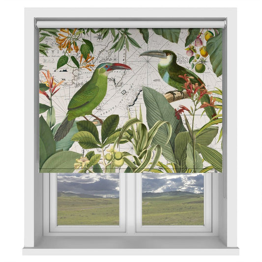 Parrots Nostalgic Journey 3 Printed Picture Photo Roller Blind - 1X2608547 - Art Fever - Art Fever