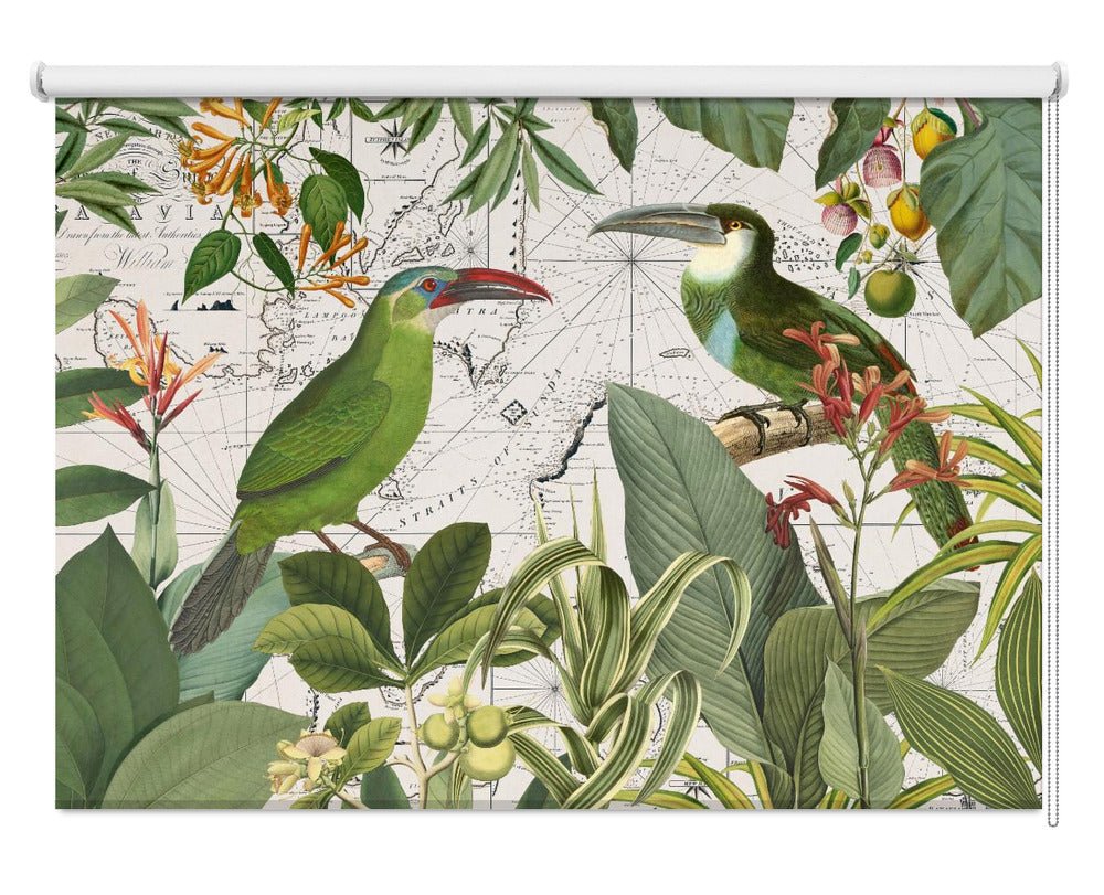 Parrots Nostalgic Journey 3 Printed Picture Photo Roller Blind - 1X2608547 - Art Fever - Art Fever