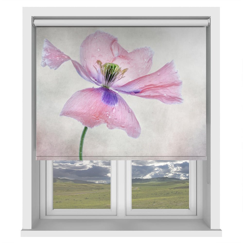 Pastel poppy Printed Picture Photo Roller Blind - 1X1167214 - Art Fever - Art Fever