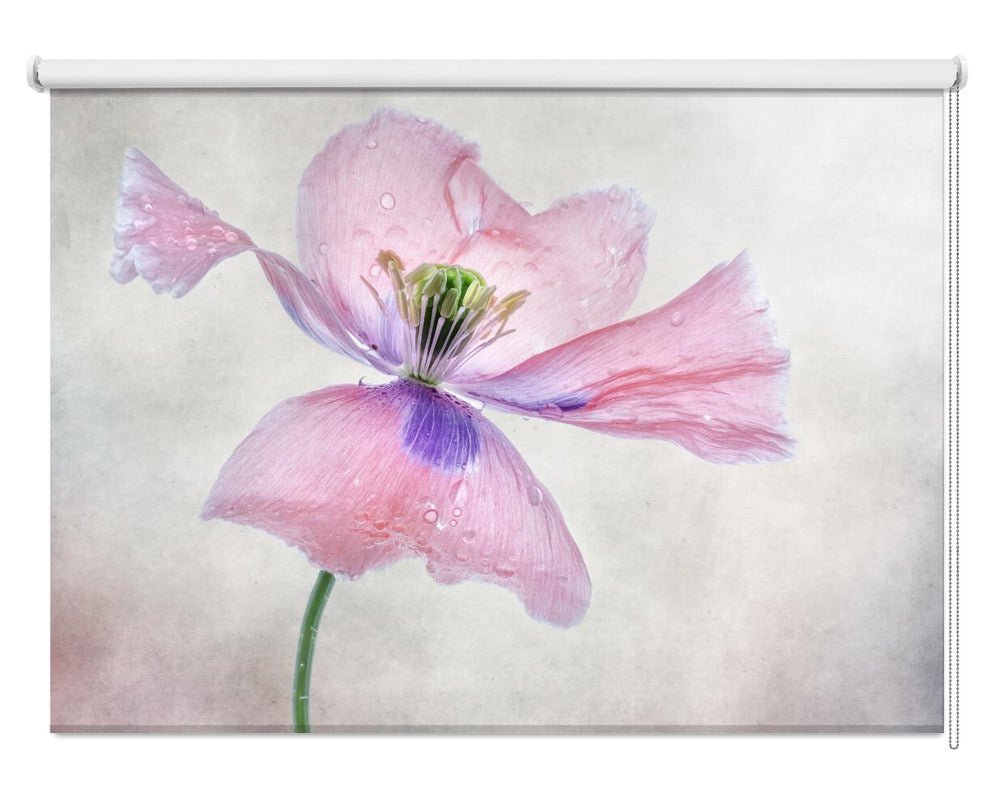 Pastel poppy Printed Picture Photo Roller Blind - 1X1167214 - Art Fever - Art Fever