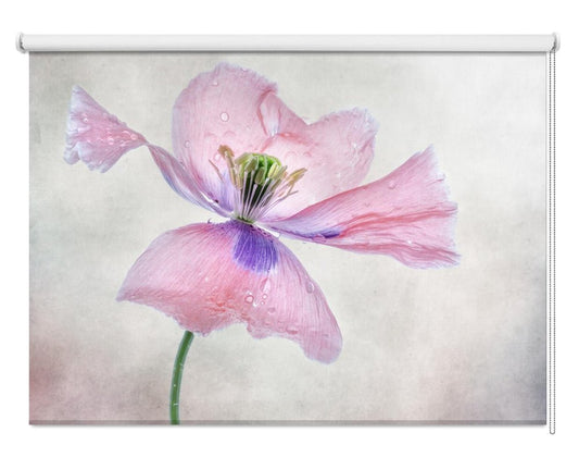 Pastel poppy Printed Picture Photo Roller Blind - 1X1167214 - Art Fever - Art Fever