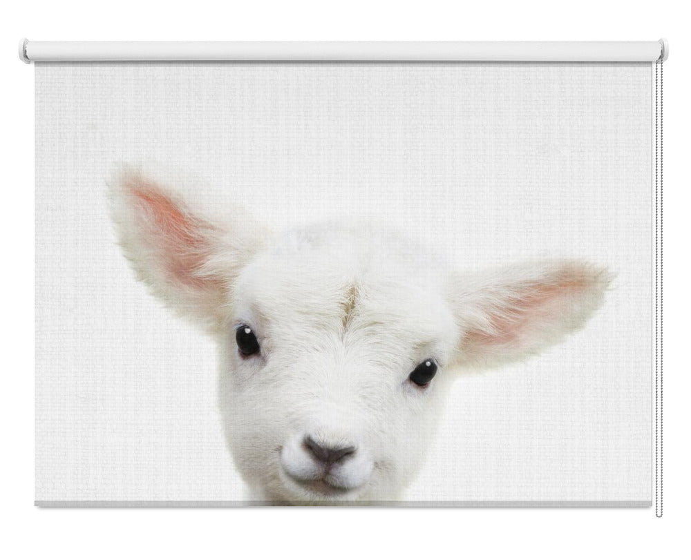 Peekaboo Baby Sheep Printed Picture Photo Roller Blind - 1X2501265 - Art Fever - Art Fever