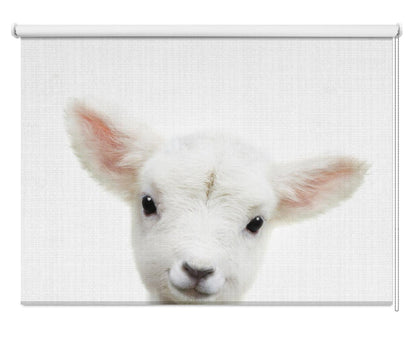 Peekaboo Baby Sheep Printed Picture Photo Roller Blind - 1X2501265 - Art Fever - Art Fever