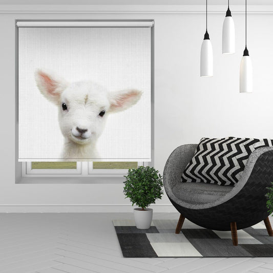 Peekaboo Baby Sheep Printed Picture Photo Roller Blind - 1X2501265 - Art Fever - Art Fever