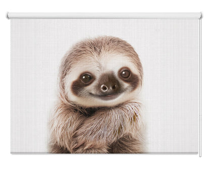 Peekaboo Baby Sloth Printed Picture Photo Roller Blind - 1X2646682 - Art Fever - Art Fever