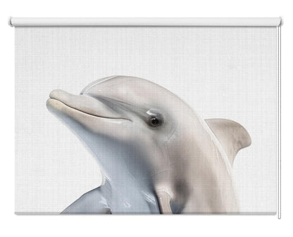 Peekaboo Dolphin Printed Picture Photo Roller Blind - 1X2800597 - Art Fever - Art Fever