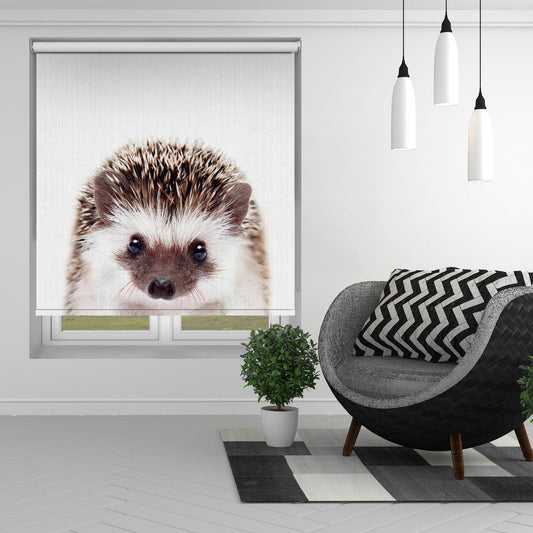 Peekaboo Hedgehog Printed Picture Photo Roller Blind - 1X2497430 - Art Fever - Art Fever