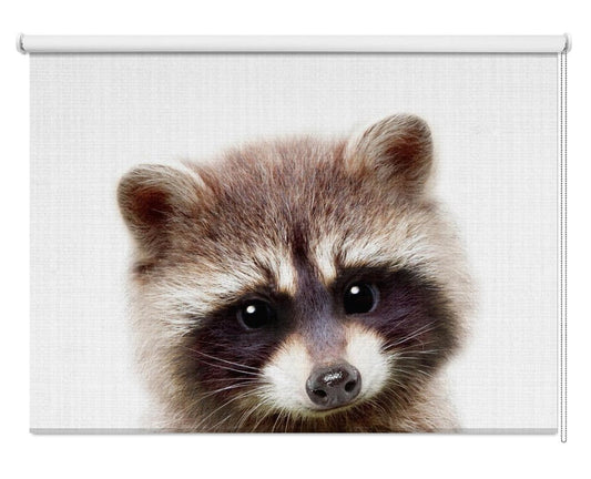 Peekaboo Raccoon Printed Picture Photo Roller Blind - 1X2497424 - Art Fever - Art Fever