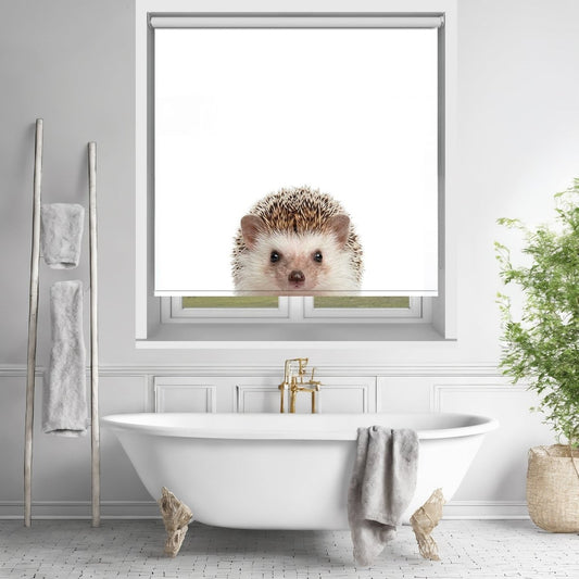 Peeking Hedgehog Printed Picture Photo Roller Blind - RB1437 - Art Fever - Art Fever