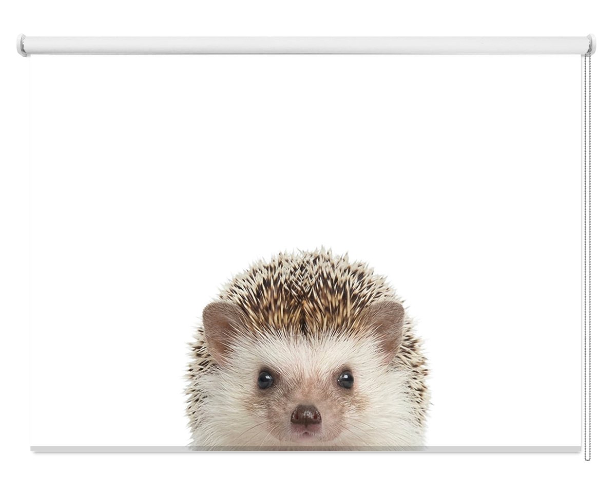 Peeking Hedgehog Printed Picture Photo Roller Blind - RB1437 - Art Fever - Art Fever