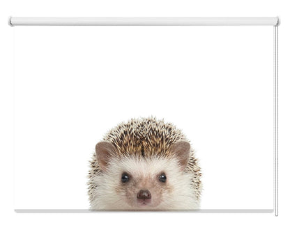 Peeking Hedgehog Printed Picture Photo Roller Blind - RB1437 - Art Fever - Art Fever