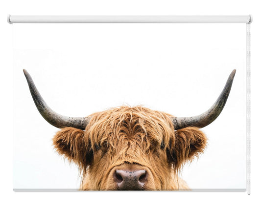 Peeking Highland Cow Printed Picture Photo Roller Blind - RB1435 - Art Fever - Art Fever