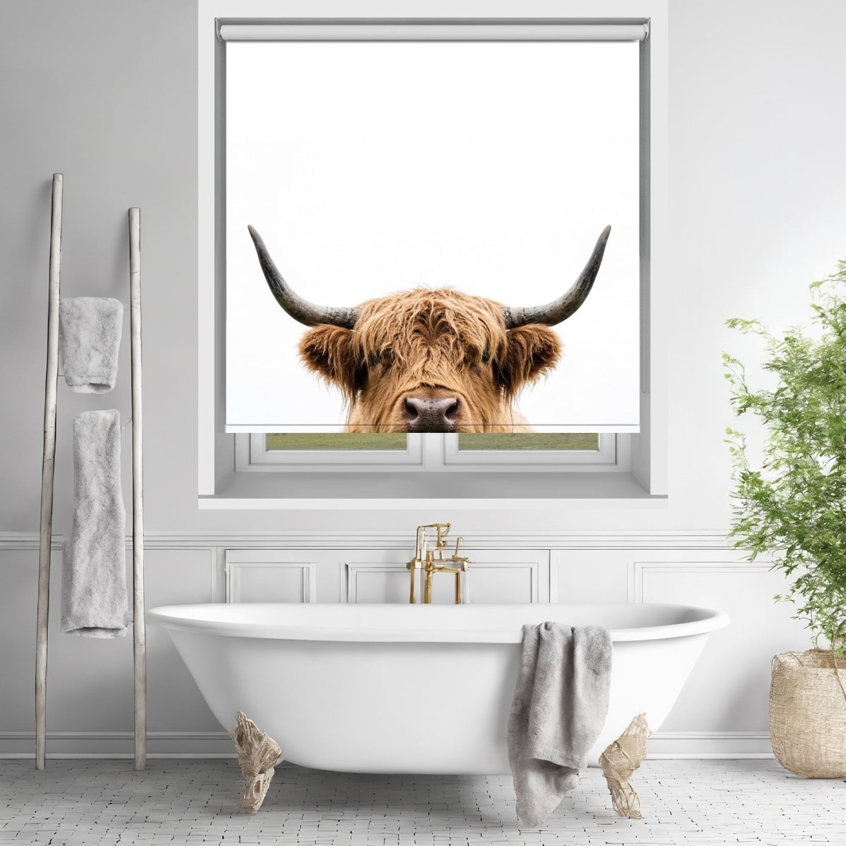 Peeking Highland Cow Printed Picture Photo Roller Blind - RB1435 - Art Fever - Art Fever