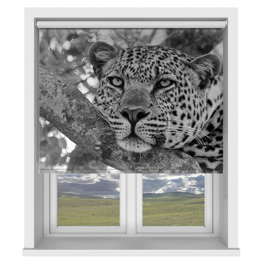 Pensive Leopard Printed Picture Photo Roller Blind - 1X2699567 - Pictufy - Art Fever