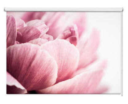 Peony 1 Printed Picture Photo Roller Blind - 1X2558819 - Art Fever - Art Fever
