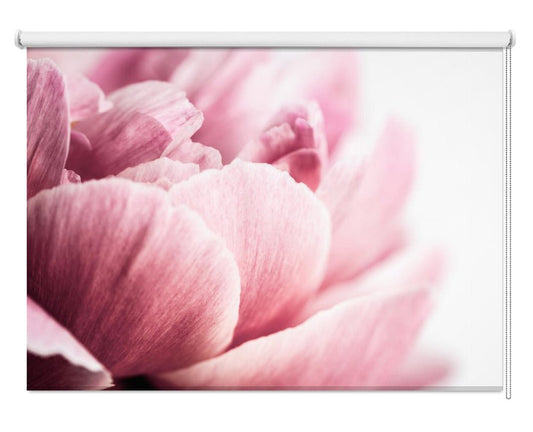 Peony 1 Printed Picture Photo Roller Blind - 1X2558819 - Art Fever - Art Fever