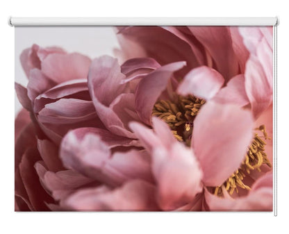 Peony Floral Art Printed Picture Photo Roller Blind - 1X2558823 - Art Fever - Art Fever