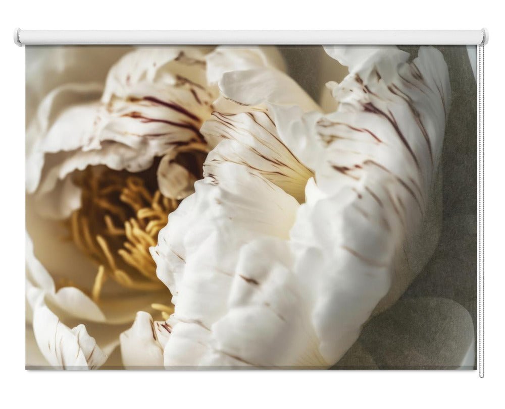 Petals of Serenity Printed Picture Photo Roller Blind - 1X2744060 - Art Fever - Art Fever