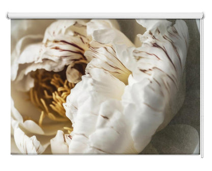 Petals of Serenity Printed Picture Photo Roller Blind - 1X2744060 - Art Fever - Art Fever