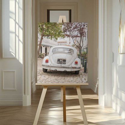 White Beetle on Cobblestone Canvas Print Wall Art 1X2711032