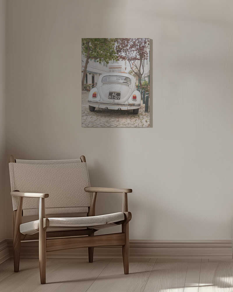 White Beetle on Cobblestone Canvas Print Wall Art 1X2711032