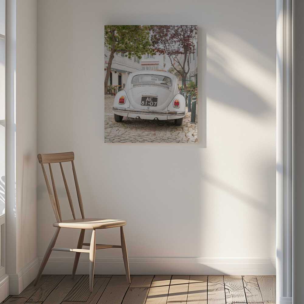 White Beetle on Cobblestone Canvas Print Wall Art 1X2711032