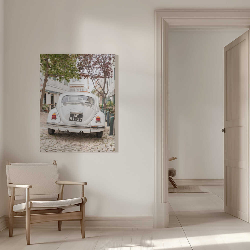 White Beetle on Cobblestone Canvas Print Wall Art 1X2711032