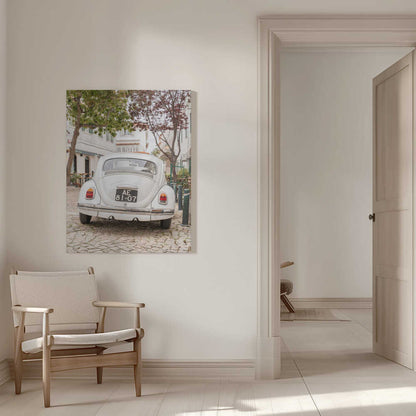 White Beetle on Cobblestone Canvas Print Wall Art 1X2711032
