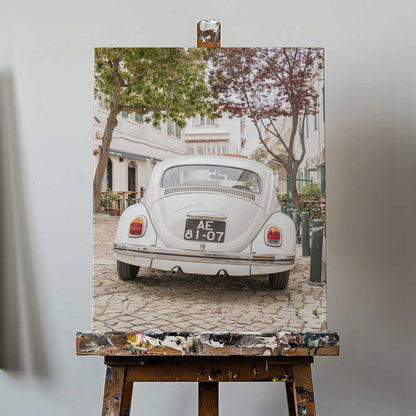 White Beetle on Cobblestone Canvas Print Wall Art 1X2711032