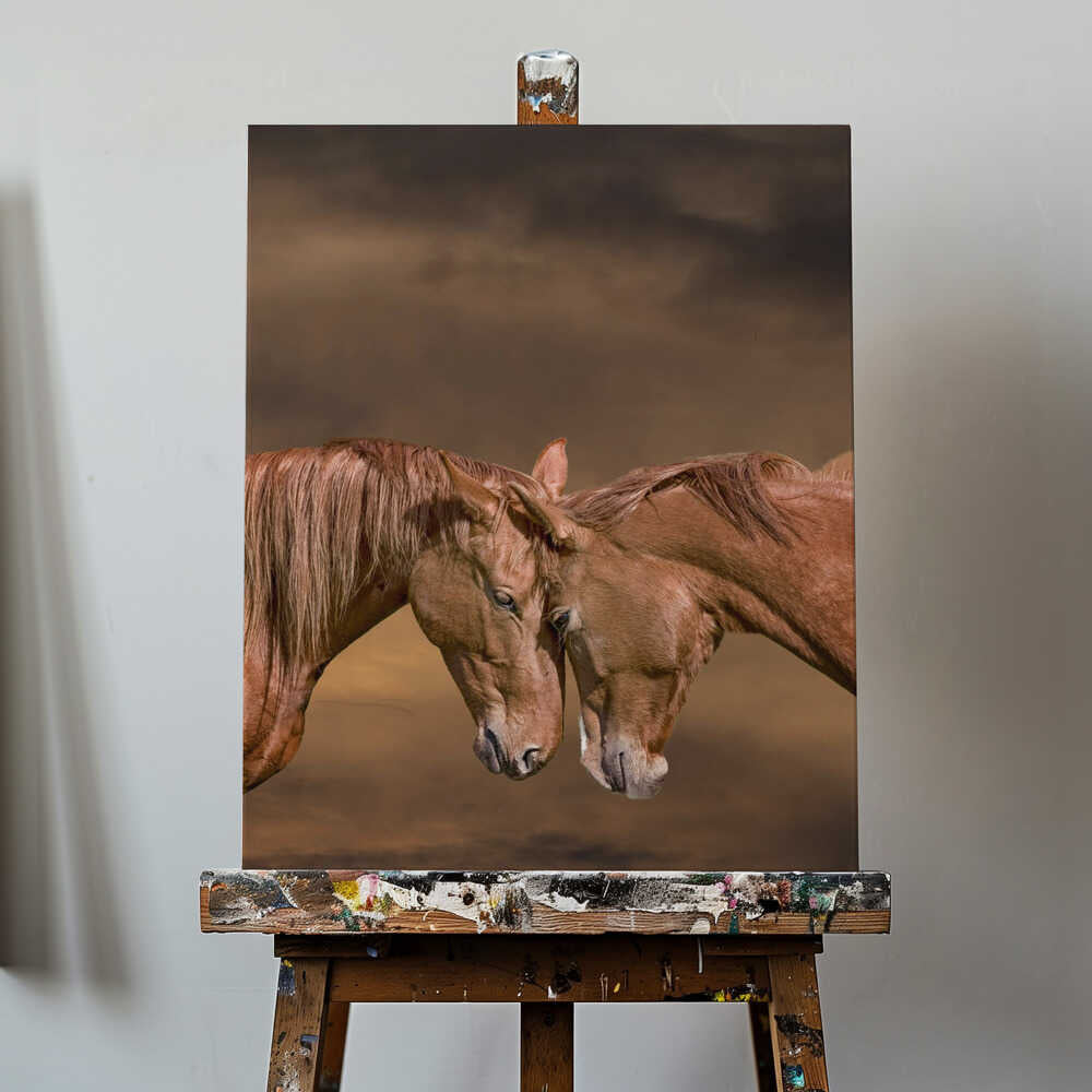 Gentle Horse Connection Canvas Print Wall Art 1X3354332