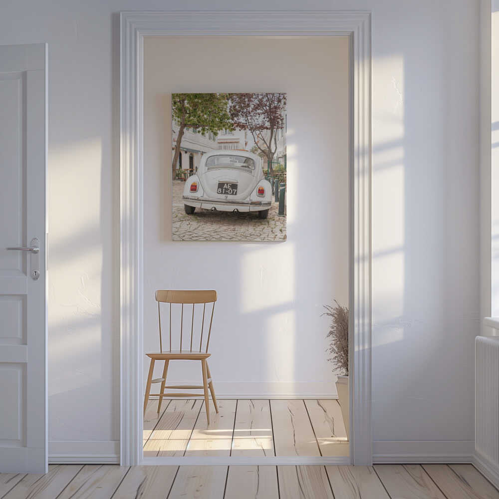 White Beetle on Cobblestone Canvas Print Wall Art 1X2711032