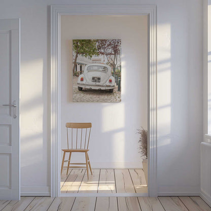 White Beetle on Cobblestone Canvas Print Wall Art 1X2711032
