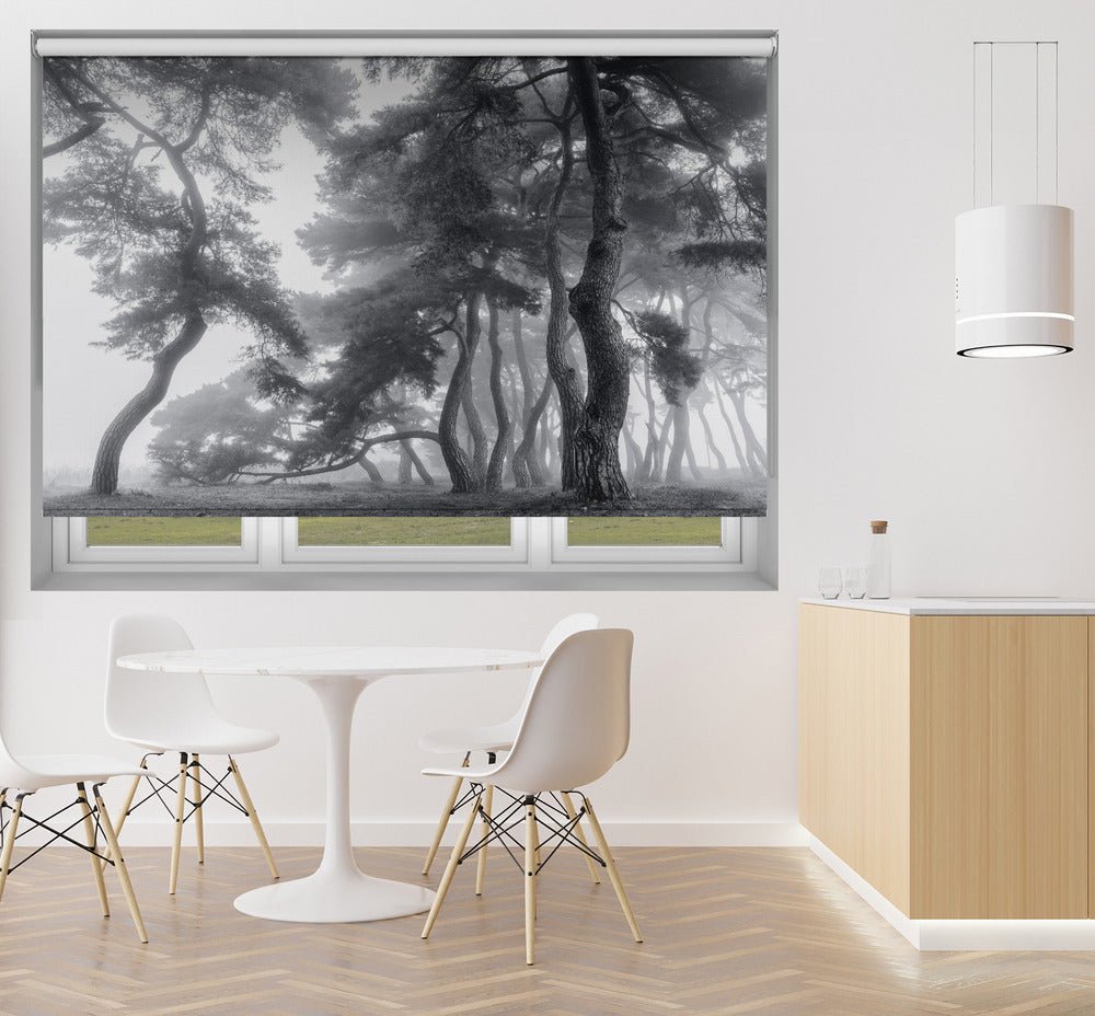 Pine Trees in the Misty Forest Printed Picture Photo Roller Blind - 1X1753422 - Art Fever - Art Fever