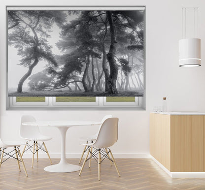 Pine Trees in the Misty Forest Printed Picture Photo Roller Blind - 1X1753422 - Art Fever - Art Fever