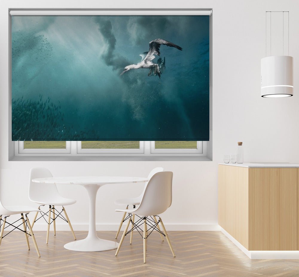 plunge diver Printed Picture Photo Roller Blind - 1X44386 - Art Fever - Art Fever