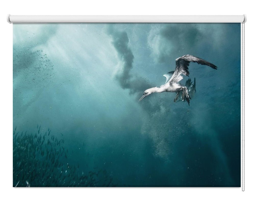 plunge diver Printed Picture Photo Roller Blind - 1X44386 - Art Fever - Art Fever