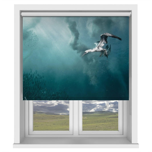 plunge diver Printed Picture Photo Roller Blind - 1X44386 - Art Fever - Art Fever