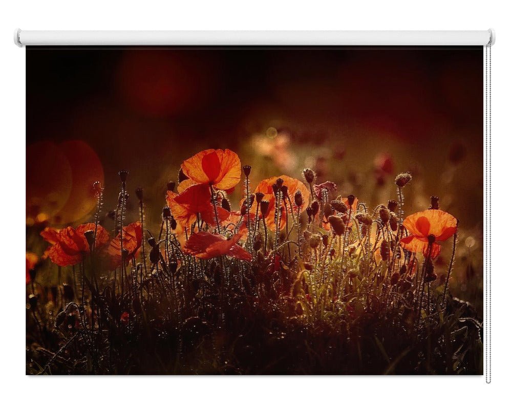 Poppies Printed Picture Photo Roller Blind - 1X1860697 - Art Fever - Art Fever