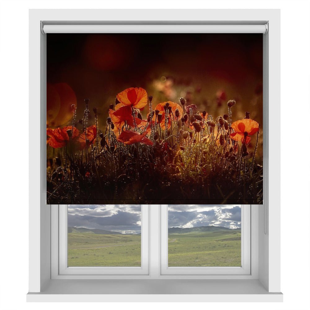 Poppies Printed Picture Photo Roller Blind - 1X1860697 - Art Fever - Art Fever