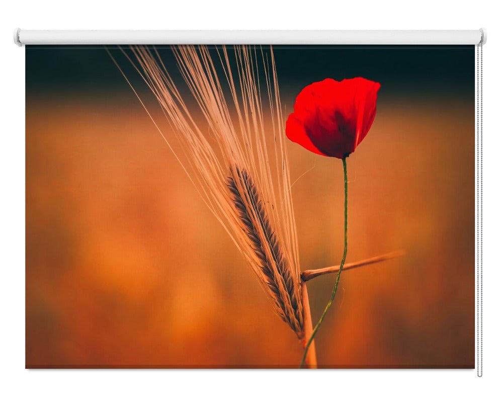 Poppy Nature Printed Picture Photo Roller Blind - 1X2170248 - Art Fever - Art Fever