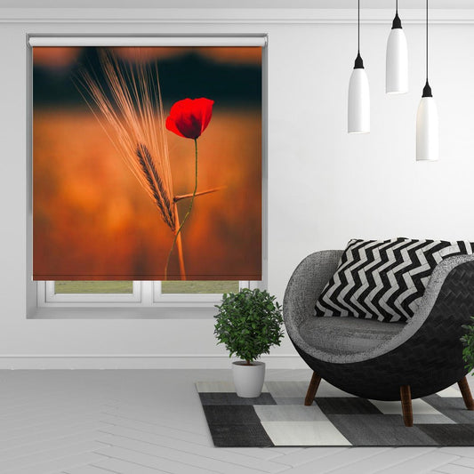 Poppy Nature Printed Picture Photo Roller Blind - 1X2170248 - Art Fever - Art Fever