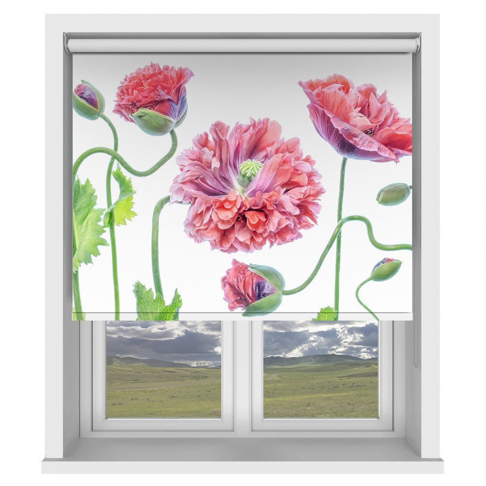 Poppy Still Life Printed Picture Photo Roller Blind - 1X1543977 - Art Fever - Art Fever