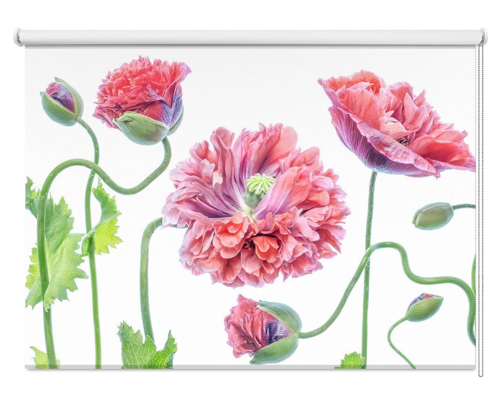 Poppy Still Life Printed Picture Photo Roller Blind - 1X1543977 - Art Fever - Art Fever