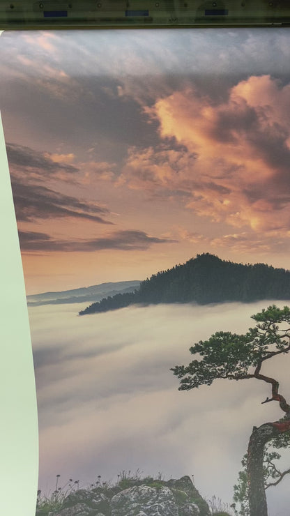 Bonsai Tree over the clouds Printed Photo Roller Blind - 1X1853971