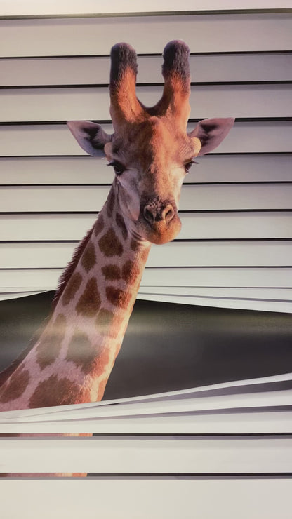 Giraffe Peeking through the blind© Printed Picture Photo Roller Blind - RB713