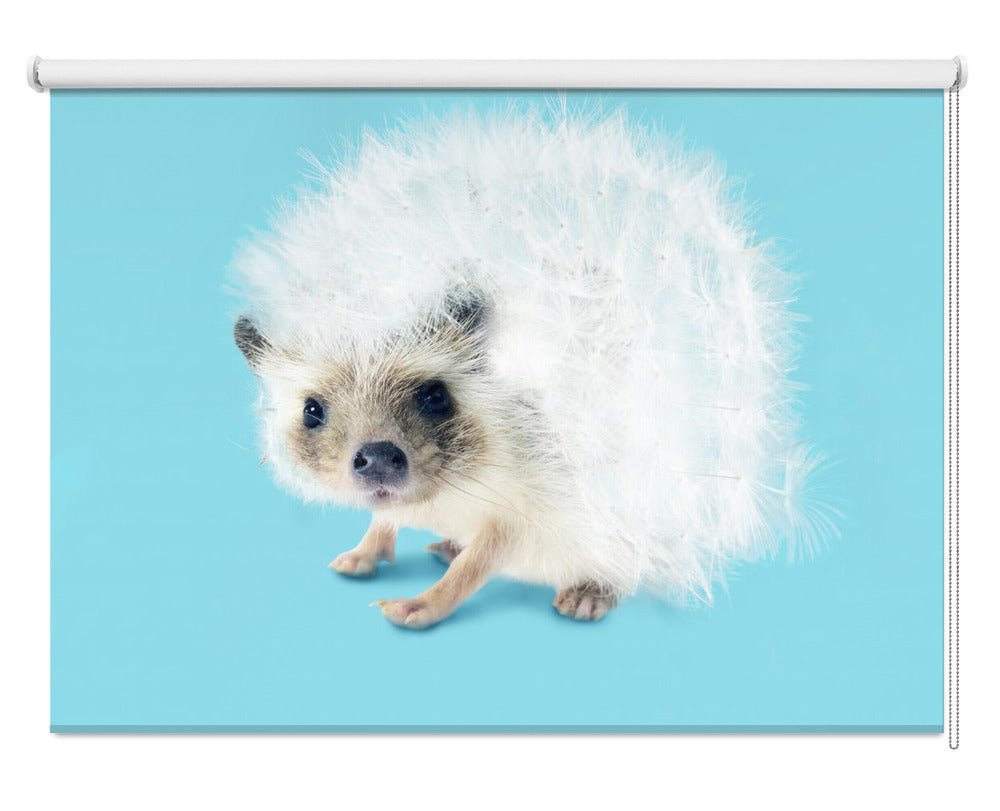 Prickly Like Dandelion Printed Picture Photo Roller Blind - 1X2544966 - Art Fever - Art Fever