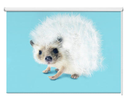 Prickly Like Dandelion Printed Picture Photo Roller Blind - 1X2544966 - Art Fever - Art Fever